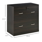 Classeur 2 tiroirs avec serrure et clés, classeur de rangement vertical avec barre de suspension pour format Lettre, bureau à domicile