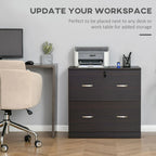 Classeur 2 tiroirs avec serrure et clés, classeur de rangement vertical avec barre de suspension pour format Lettre, bureau à domicile